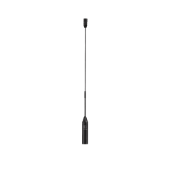 AUDAC CMX215/55 Mikrofon pojemnościowy na prostym wysięgniku z elastycznym przegubem, wersja 55 cm