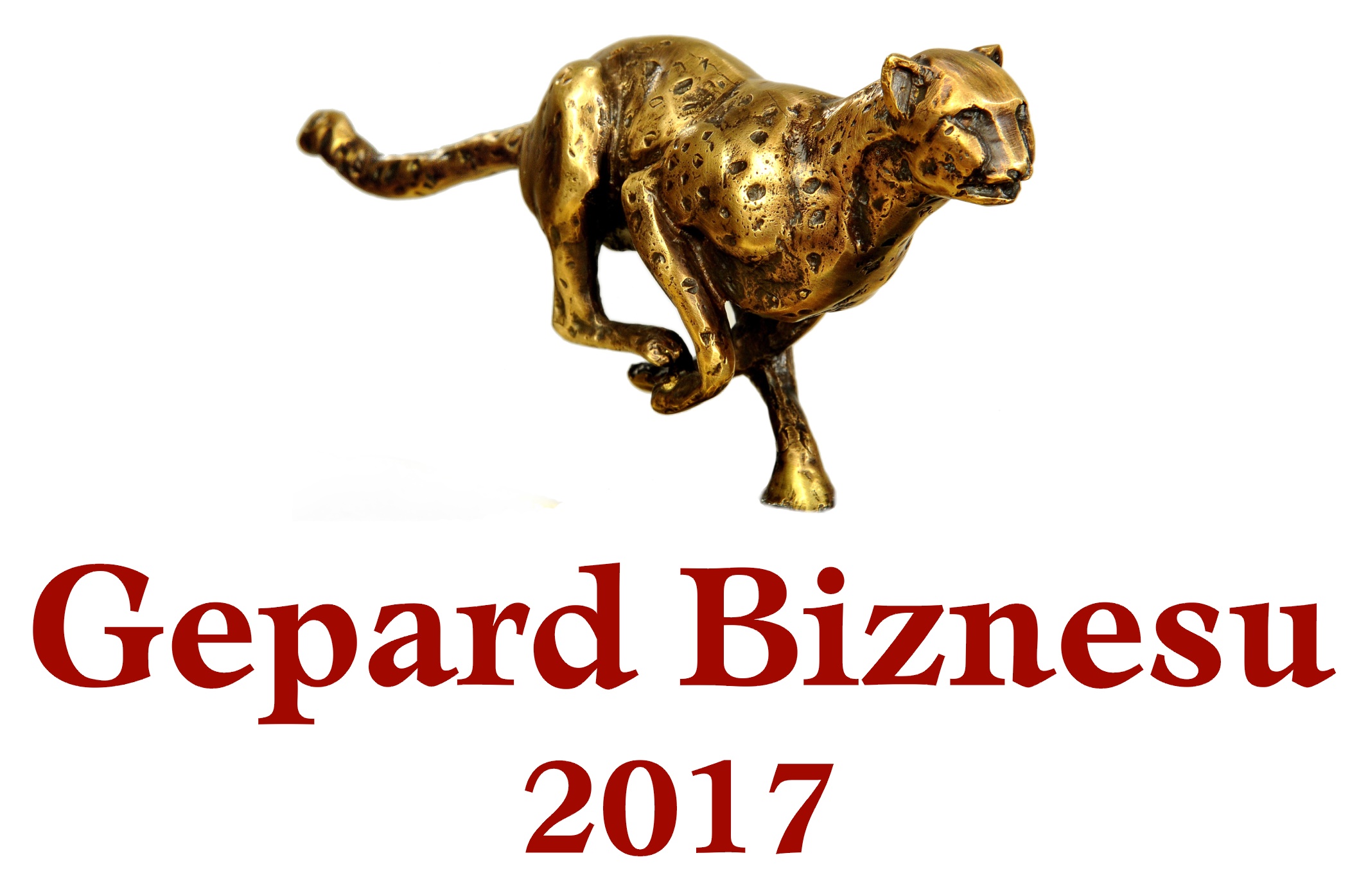 Gepardy Biznesu 2017